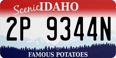 ID license plate 2P9344N