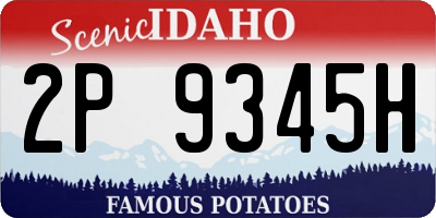 ID license plate 2P9345H