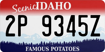 ID license plate 2P9345Z