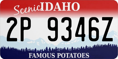 ID license plate 2P9346Z