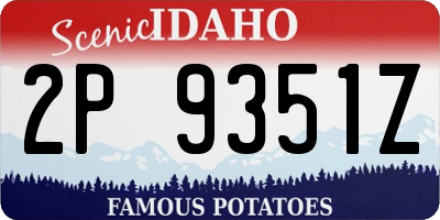 ID license plate 2P9351Z