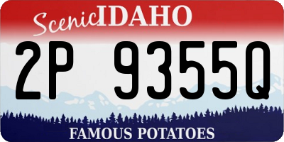 ID license plate 2P9355Q
