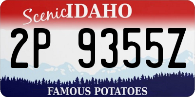 ID license plate 2P9355Z
