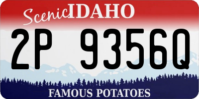 ID license plate 2P9356Q