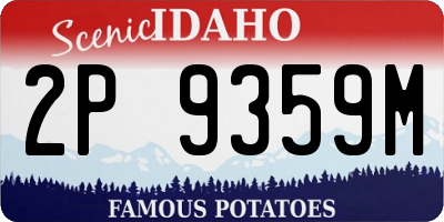 ID license plate 2P9359M