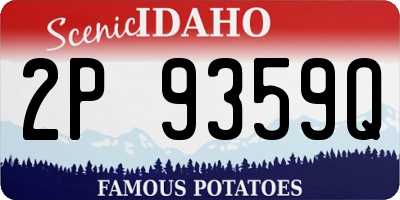 ID license plate 2P9359Q
