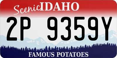 ID license plate 2P9359Y