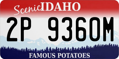 ID license plate 2P9360M