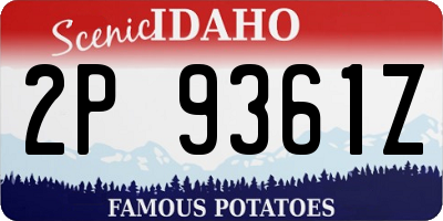 ID license plate 2P9361Z