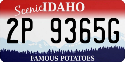ID license plate 2P9365G