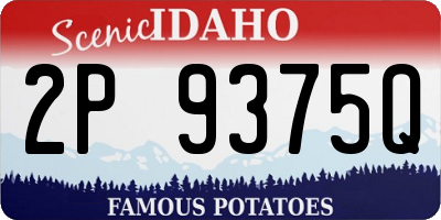 ID license plate 2P9375Q