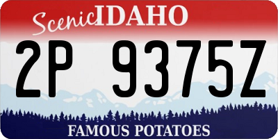 ID license plate 2P9375Z