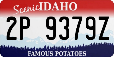 ID license plate 2P9379Z