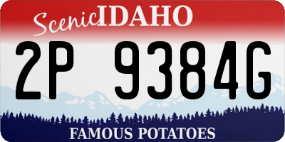 ID license plate 2P9384G