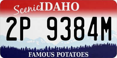 ID license plate 2P9384M