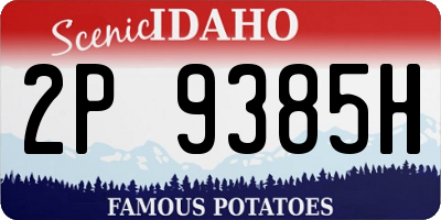ID license plate 2P9385H