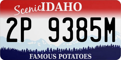 ID license plate 2P9385M