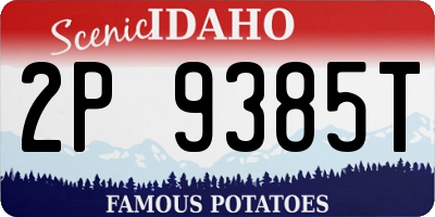 ID license plate 2P9385T