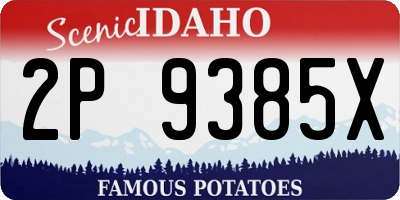 ID license plate 2P9385X