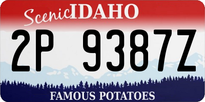ID license plate 2P9387Z