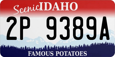 ID license plate 2P9389A