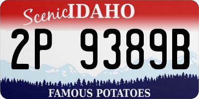 ID license plate 2P9389B