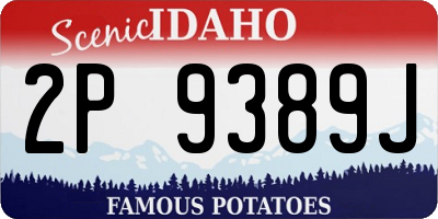 ID license plate 2P9389J