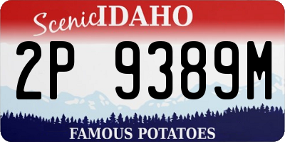 ID license plate 2P9389M