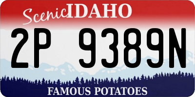 ID license plate 2P9389N