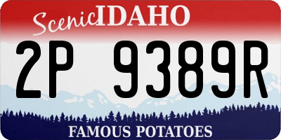 ID license plate 2P9389R