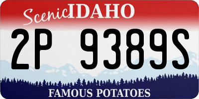 ID license plate 2P9389S