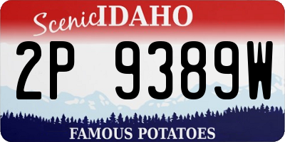 ID license plate 2P9389W
