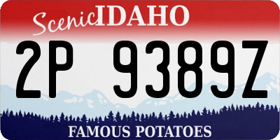 ID license plate 2P9389Z