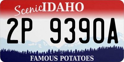 ID license plate 2P9390A