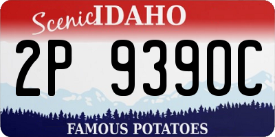 ID license plate 2P9390C