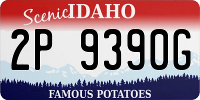 ID license plate 2P9390G