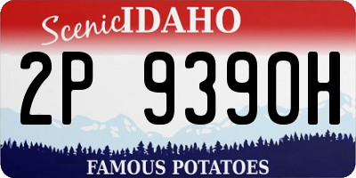 ID license plate 2P9390H