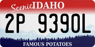 ID license plate 2P9390L