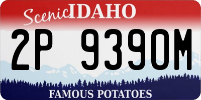 ID license plate 2P9390M