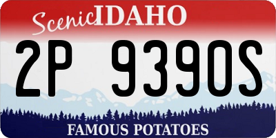 ID license plate 2P9390S