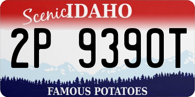 ID license plate 2P9390T
