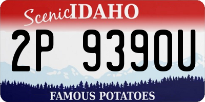 ID license plate 2P9390U