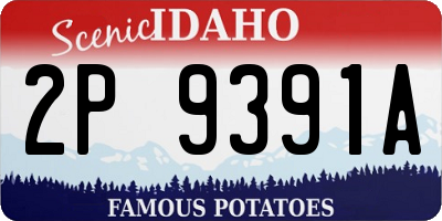 ID license plate 2P9391A