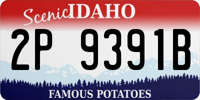 ID license plate 2P9391B