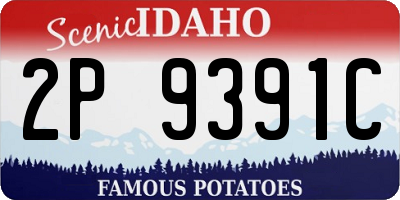 ID license plate 2P9391C