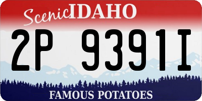 ID license plate 2P9391I