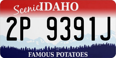 ID license plate 2P9391J