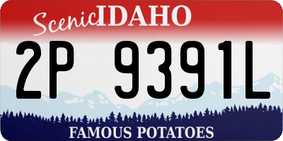 ID license plate 2P9391L