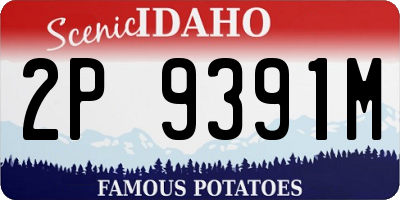ID license plate 2P9391M