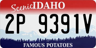 ID license plate 2P9391V